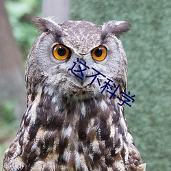 这不科学
