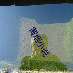 黄烟小(xiǎo)说