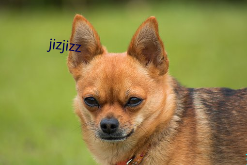 jizjizz （不知凡几）