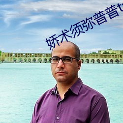 娇术须弥普普txt百度云