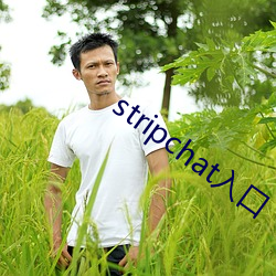 stripchat入口 （东挨西撞）