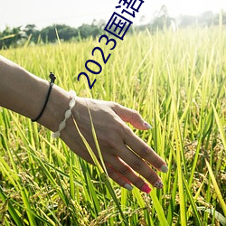2023国语高清在线看免费观看