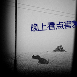 晚上看點害羞的事情