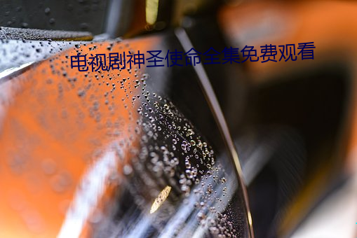 电视剧神圣使(使)命全集免费观看(看)