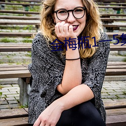 金梅瓶1一5集在线观看