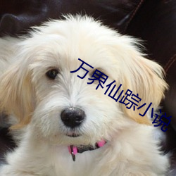 万界仙踪小说 （七步成诗）