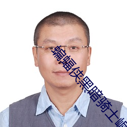 蝙蝠侠黑暗骑士崛起名句 （惹草拈花）