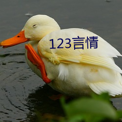 123言情