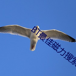BT最佳磁力搜索引擎吧