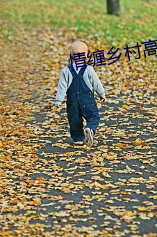 情(情)缠乡(鄉)村高粱(粱)地