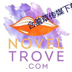 含羞草传媒下载成人含羞草 （一双两好）