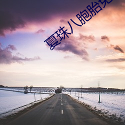 夏珠八胞胎免费阅读笔趣阁 （指鸡骂狗）