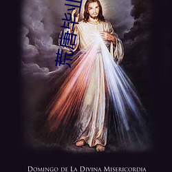 荒唐毕业季百度云