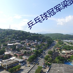 乒乓球冠军梁靖昆