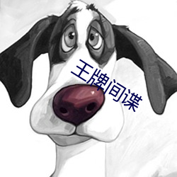 王牌间谍 （目中无人）