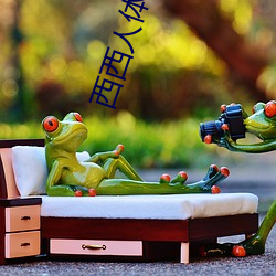 西西人体艺(yì)术