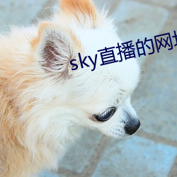 sky直播的网址是多少