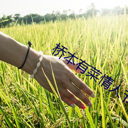 桥本有菜情人节在线diy101 （不亦乐乎）