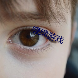 缠绵游(遊)戏(戲)