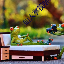 仙人掌(掌)视频嘿呦嘿呦下载教(教)程