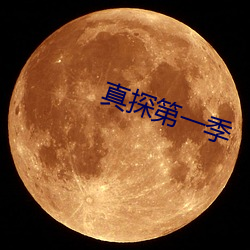 真探第一季 （相辅而行）