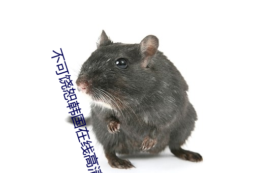 不可饒恕韓國在線高清觀看