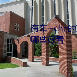 有车~che的双男主腐肉动画推荐哪些好看