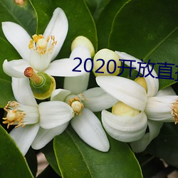 2020开(kāi)放直播app不封(fēng)号(hào)