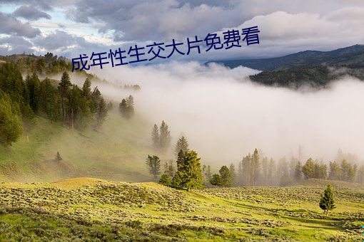 成年性生交大片免費看