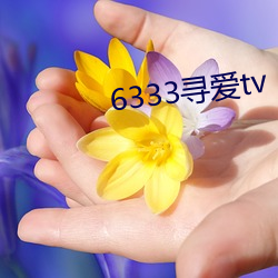 6333尋愛tv