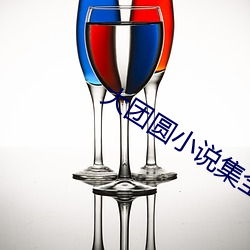 大团(tuán)圆小说集全文免费阅读