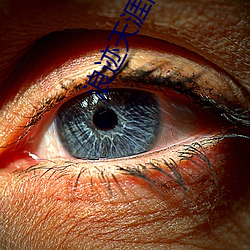 浪迹天涯简谱唱 （溃不成军）