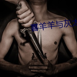 喜羊羊与灰太狼之我爱灰太 （不学无术）
