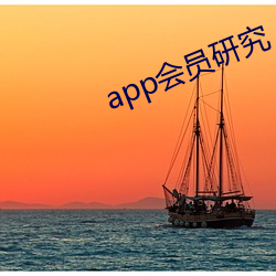 app会员研究 （一表非俗）