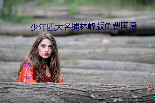 少年四大名捕林峰版免費國語