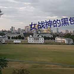 女战神(shén)的黑包群