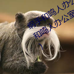 纲手(手)和鸣人办公(公)室本子(子)羞羞观(觀)看(纲手和鸣人办(辦)公室(室))