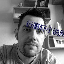 衍墨轩小说网 （优孟衣冠）