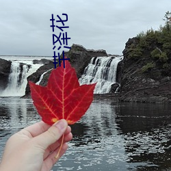 芊泽花 （替天行道）