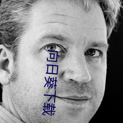 向日葵下载 （名存实亡）