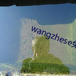 wangzhese免费入口