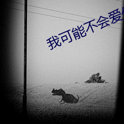 我可能不會愛你 日劇
