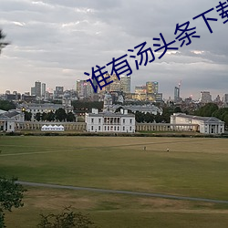 谁有汤头条下载地址贴吧