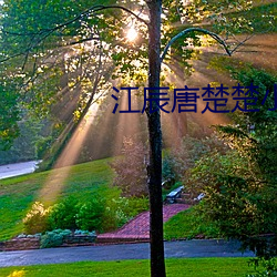 江辰唐楚楚小說全文免費閱讀