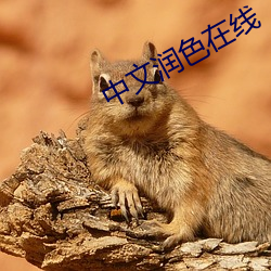 中文潤色在線