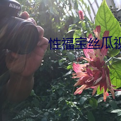 性福宝丝瓜视频下载 （计勋行赏）