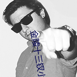 金陵十三钗小说