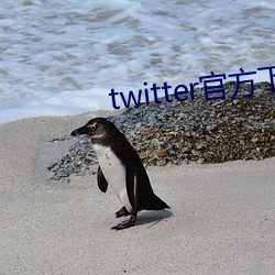 twitter官方下載中文版