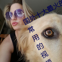 国外十大最火的视频网站推荐 外国人常用的视频网站有哪些 （皁白难分）