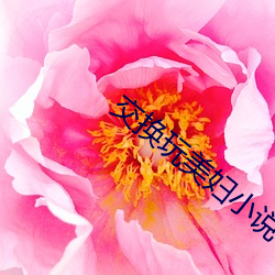 交換玩美婦小說